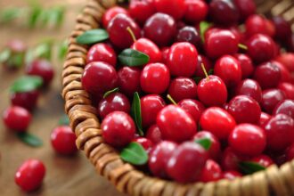 Cranberries: 9 health benefits beyond UTI prevention