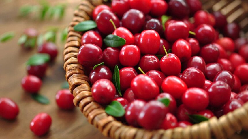 Cranberries: 9 health benefits beyond UTI prevention