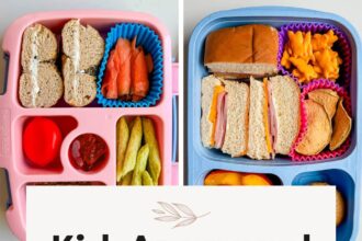 Kid’s Lunch Box Ideas: What to Pack, Tips and Recipes