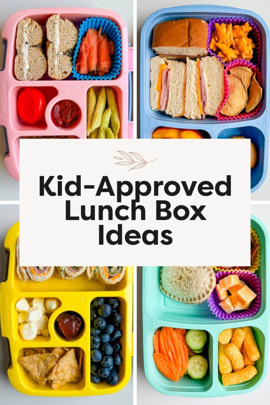 Kid’s Lunch Box Ideas: What to Pack, Tips and Recipes