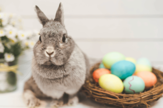 bunny next to colourful eggs in a whicker basket