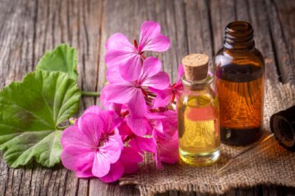 Geranium oil for hair: 5 ways to use it