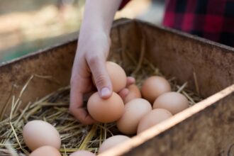 The Simplest Way to Tell if Your Farm-Fresh Eggs Are Still Actually Fresh, According to a Chicken Farmer