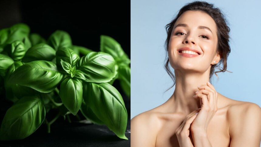 Basil for skin: 7 ways to use this herb