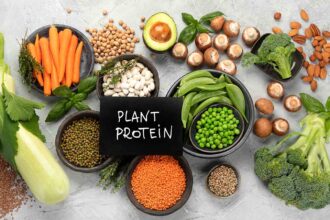 plant protein