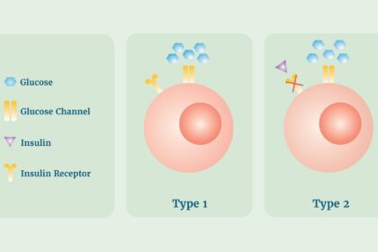 What’s the Difference Between Type 1 and Type 2 Diabetes?