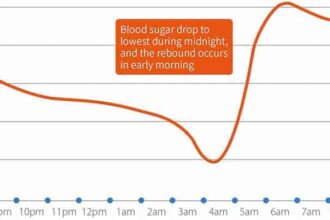 What is the Somogyi Effect (the Blood Sugar Rebound Effect)?