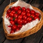 Tomato for period pain: 4 benefits of this delicious fruit for menstrual cramps