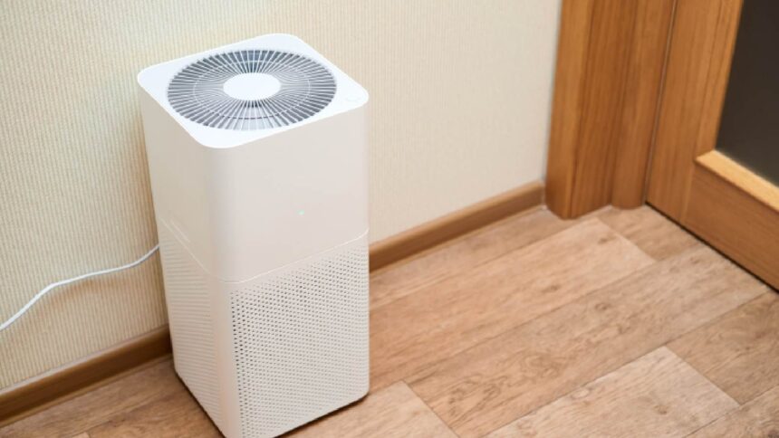 Best Levoit air purifiers: 6 top choices for healthier air at home