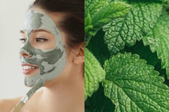 6 benefits of lemon balm that will make you include it in your skincare regime