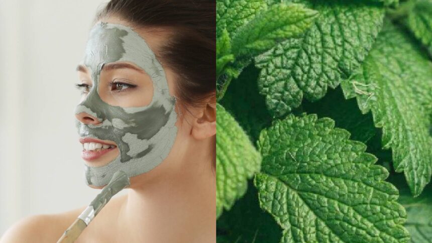 6 benefits of lemon balm that will make you include it in your skincare regime