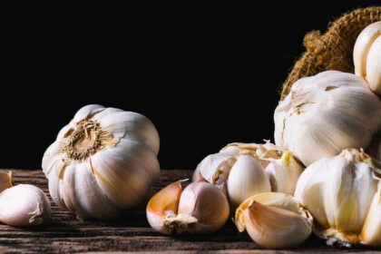 Roasted garlic for winter wellness