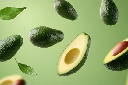 Avocado