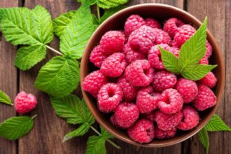 Raspberry in a bowl