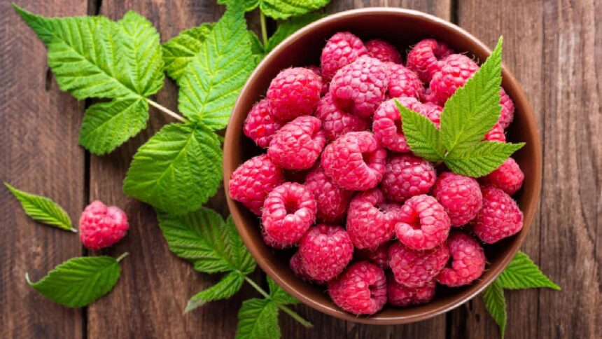 Raspberry in a bowl