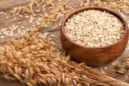 True Elements vs Yogabar: Which one is the best brand for oats for weight loss?