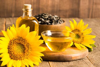 Sunflower oil for cooking: Know the benefits and 7 options that promote heart health