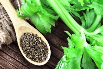 Celery seed benefits