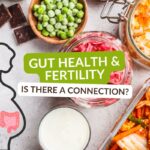 How Gut Health Impacts Fertility: Tips for a Healthy Microbiome