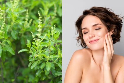 Tulsi for skin: 5 easy ways to get a natural glow