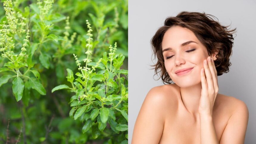 Tulsi for skin: 5 easy ways to get a natural glow